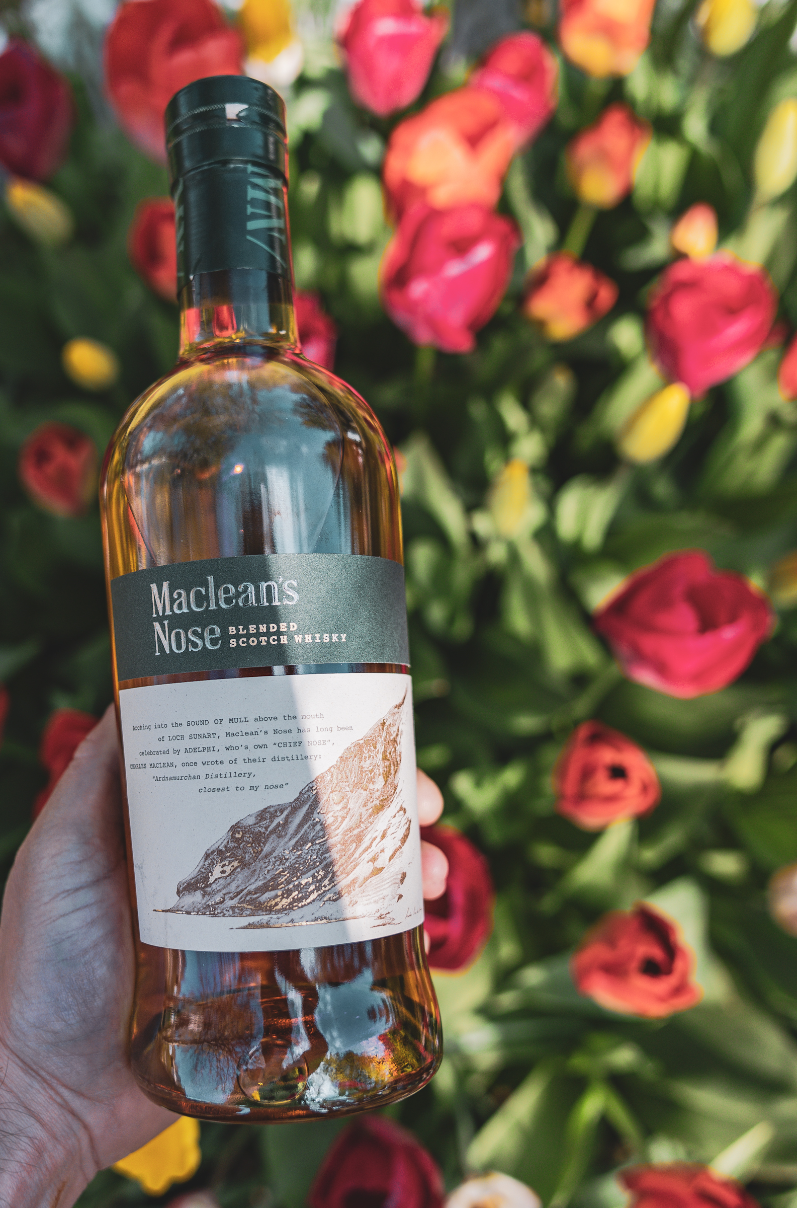 MacLean's Nose Blended Scotch Whisky